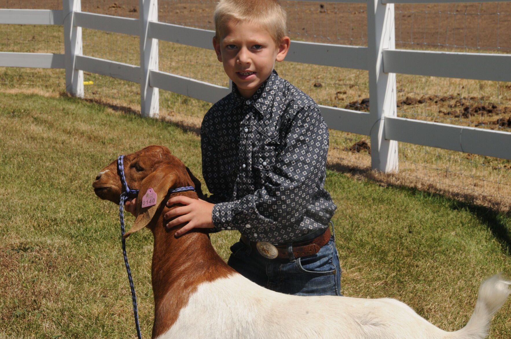 Boer goat photo 2